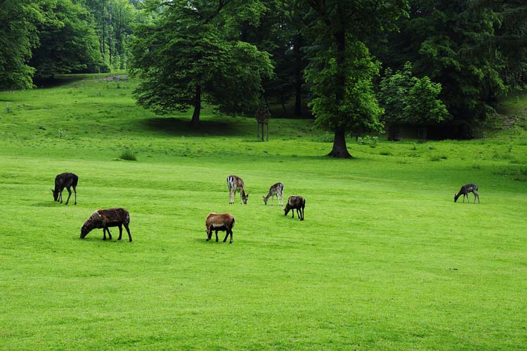 Bad-Driburg-0068-Mah