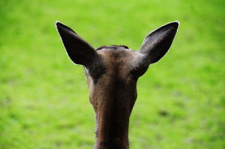 Bad-Driburg-0072-Mah