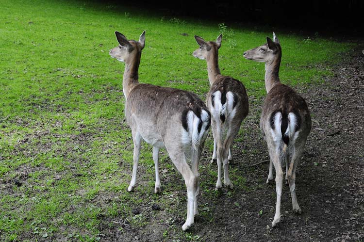 Bad-Driburg-0076-Mah