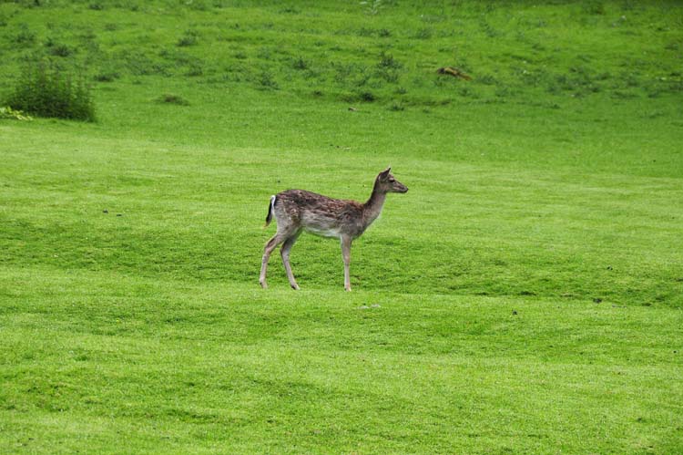 Bad-Driburg-0084-Mah