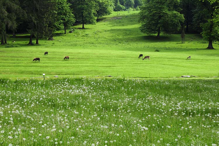 Bad-Driburg-0088-Mah