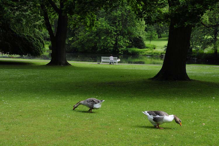 Bad-Driburg-0100-Mah