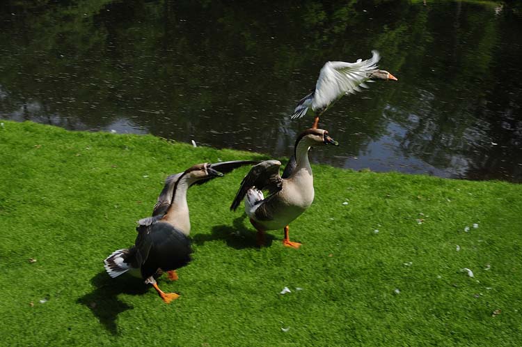 Bad-Driburg-0116-Mah