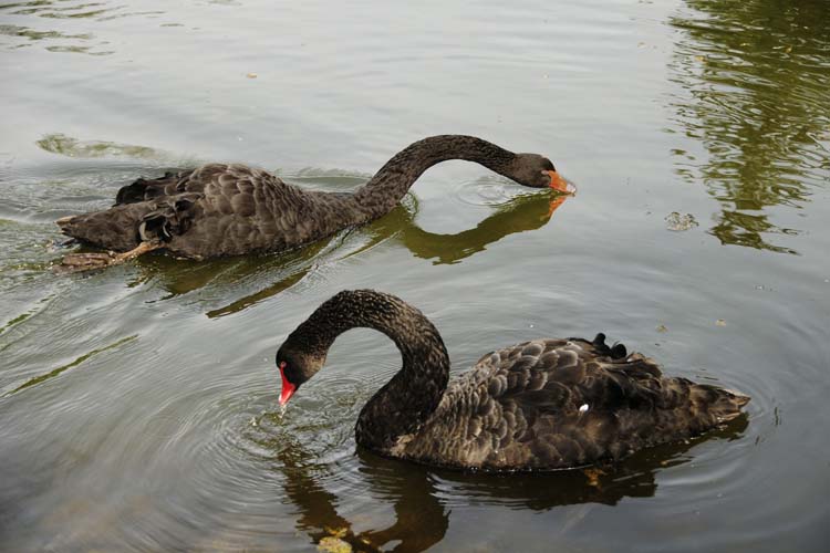 Bad-Driburg-0120-Mah