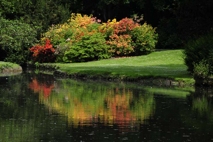 Bad-Driburg-0124-Mah