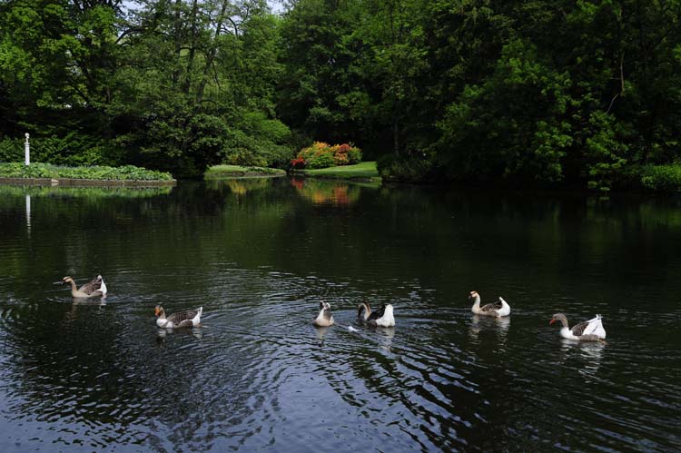 Bad-Driburg-0128-Mah