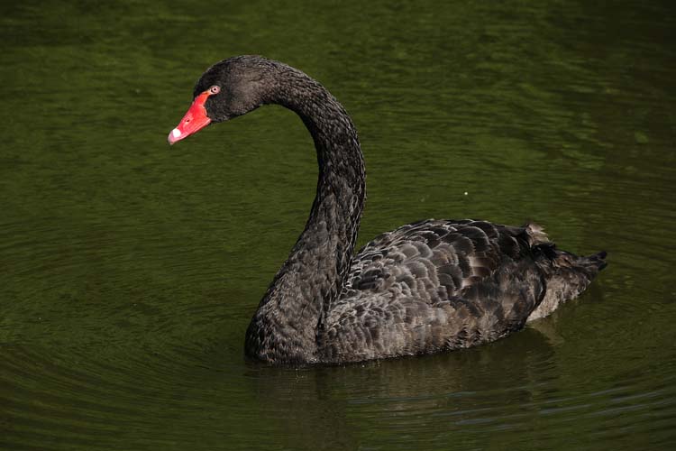 Bad-Driburg-0192-Mah