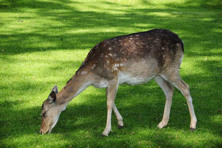 Bad-Driburg-0196-Mah