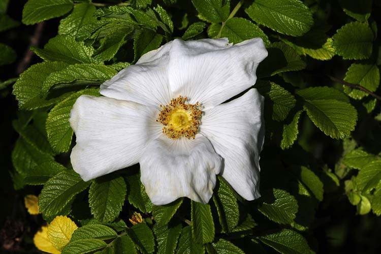 Bad-Driburg-0220-Mah