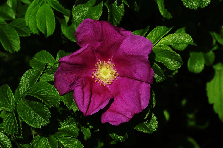 Bad-Driburg-0224-Mah