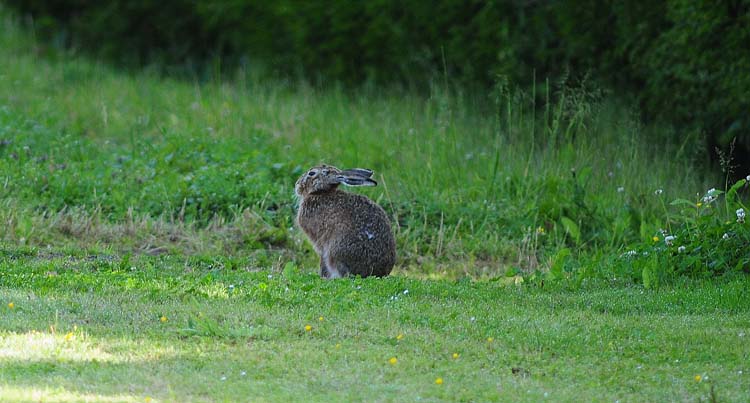 Bad-Driburg-0244-Mah