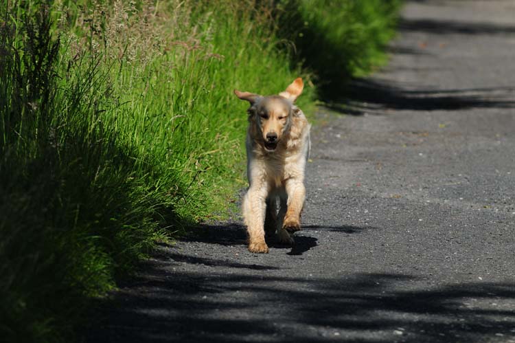 Bad-Driburg-0248-Mah