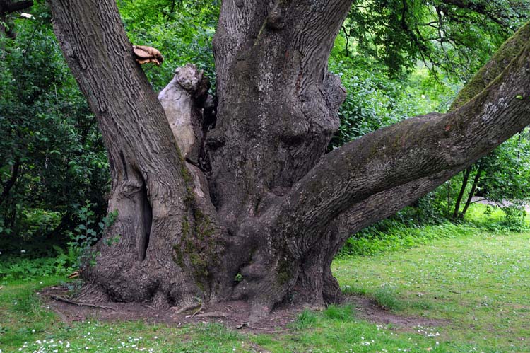 Bad-Driburg-0252-Mah