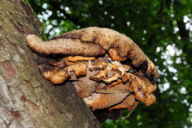 Bad-Driburg-0256-Mah