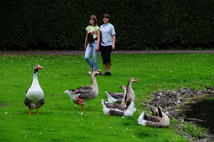 Bad-Driburg-0292-Mah