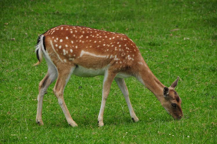 Bad-Driburg-0296-Mah