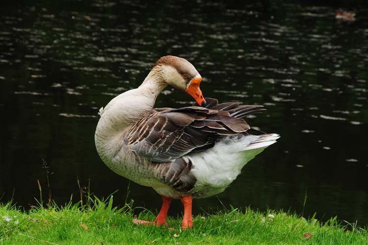 Bad-Driburg-0304-Mah