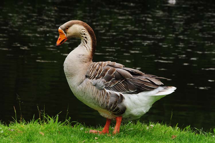 Bad-Driburg-0308-Mah