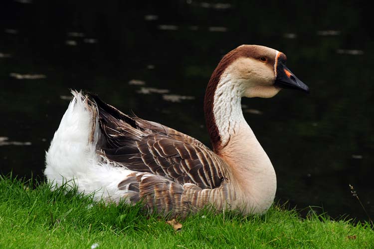 Bad-Driburg-0312-Mah