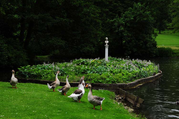 Bad-Driburg-0320-Mah