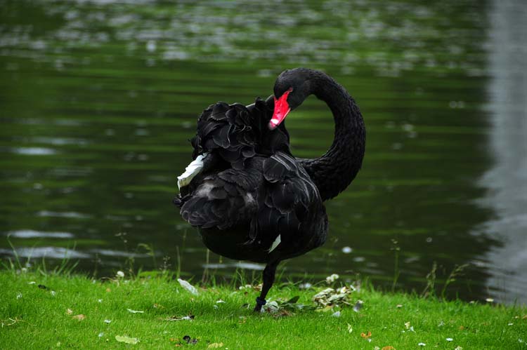 Bad-Driburg-0332-Mah