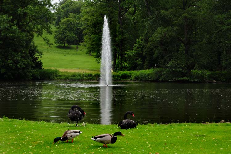 Bad-Driburg-0336-Mah