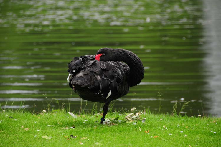 Bad-Driburg-0340-Mah