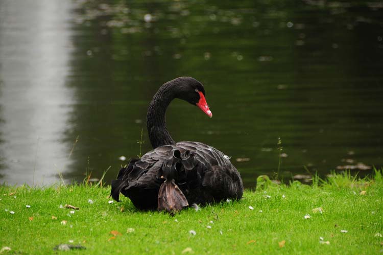 Bad-Driburg-0344-Mah