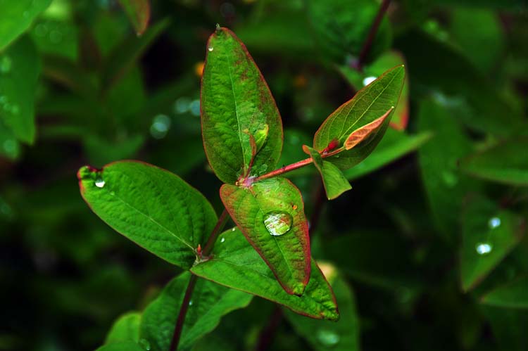 Bad-Driburg-0388-Mah