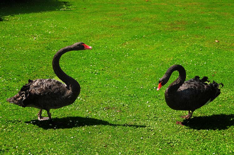 Bad-Driburg-0396-Mah