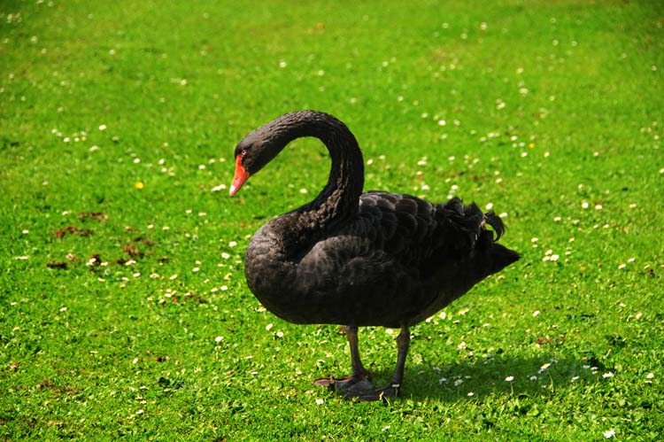 Bad-Driburg-0400-Mah