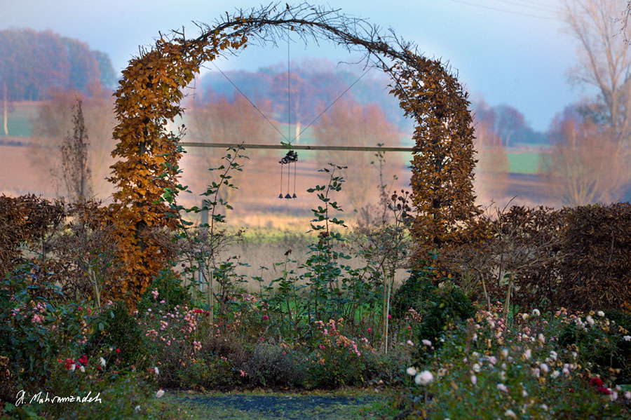 607297-Bardenhagen-20111113-cMahramzadeh-Durchgang