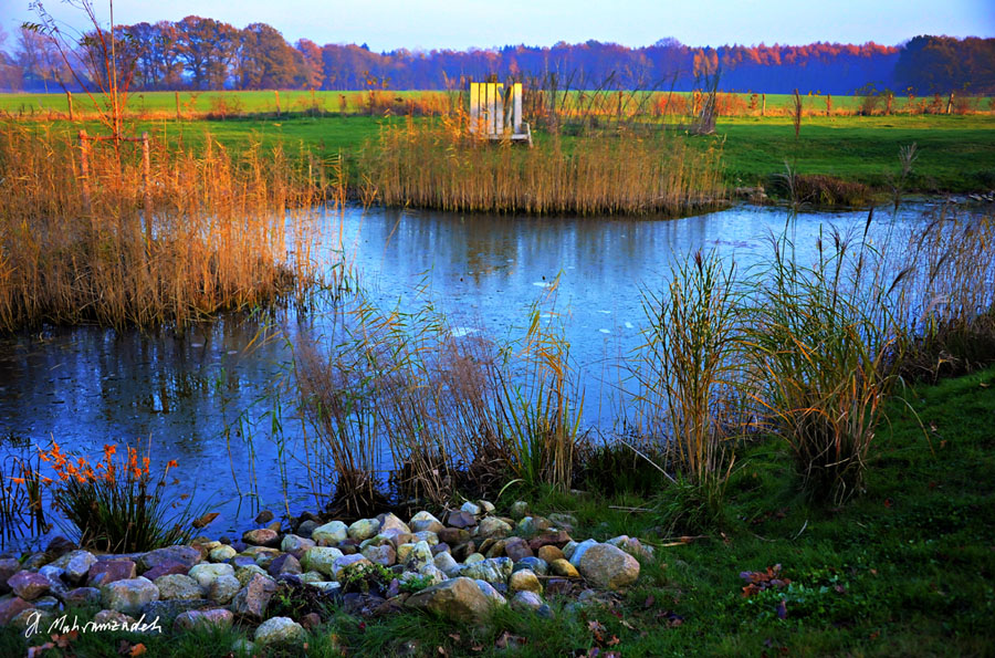 607622-Bardenhagen-20111113-cMahramzadehAnd2more-Teich