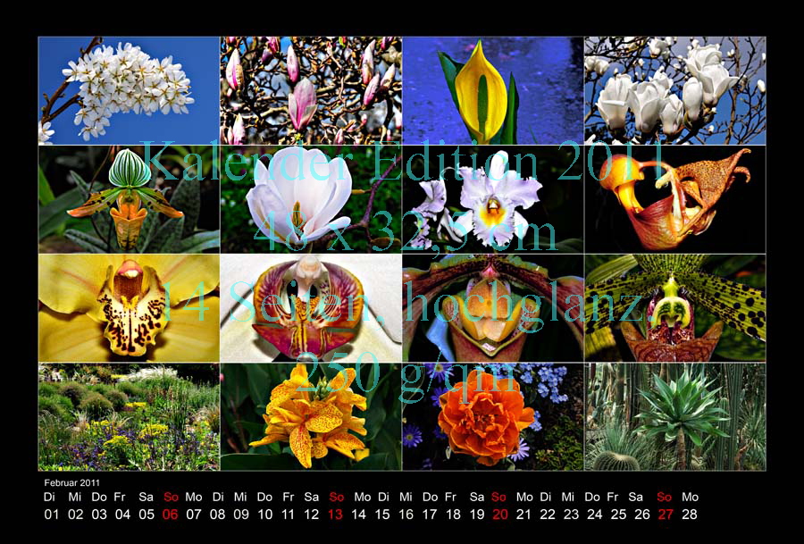 02-Kalender-2011-Berggarten-Blueten
