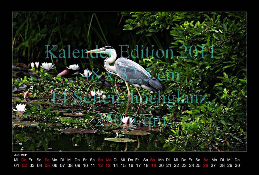 06-Kalender-2011-Berggarten-Reiher