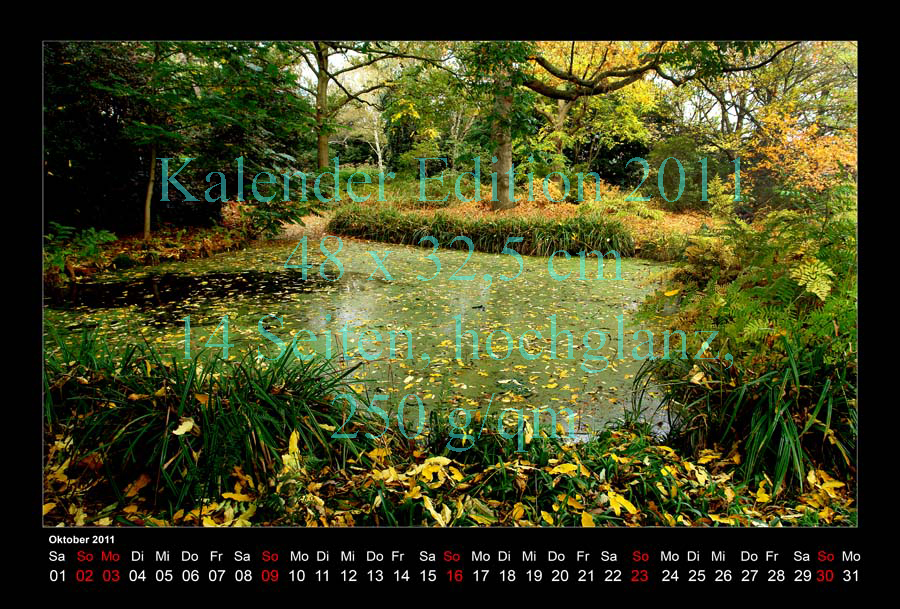 10-Kalender-2011-Berggarten-Moor-2