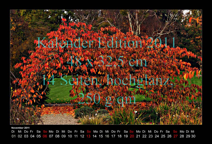 11-Kalender-2011-Berggarten-Kirchbaum