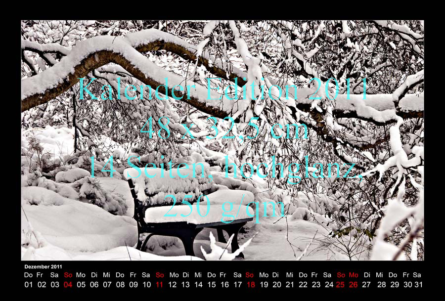 12-Kalender-2011-Berggarten-Schnee