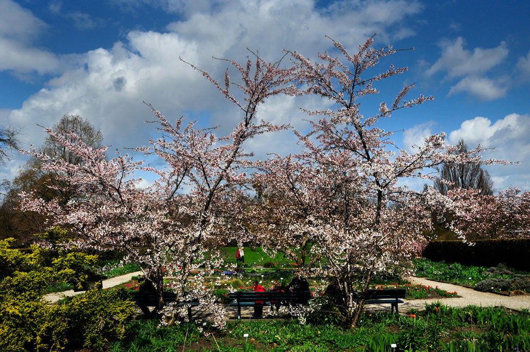 200-Berggarten-4257-Mahramzadeh