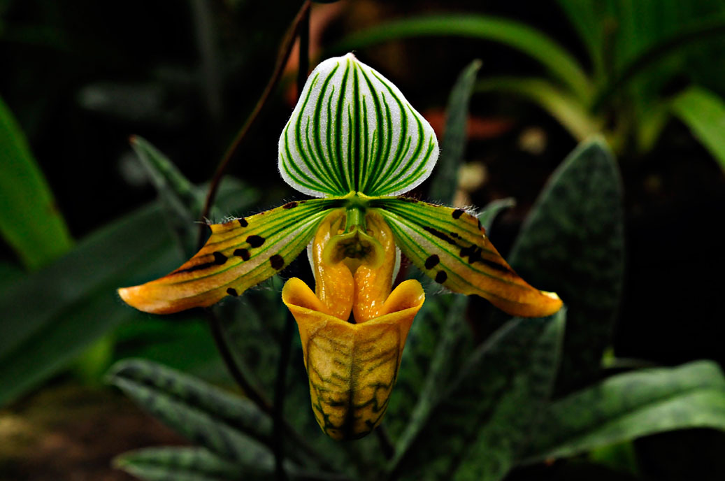 Berggarten-4307-Mahramzadeh