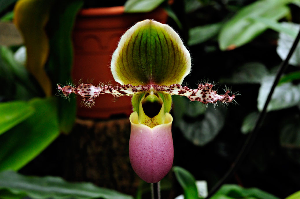 Berggarten-4310-Mahramzadeh