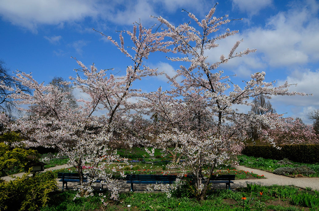 Berggarten-Mahramzadeh-4356