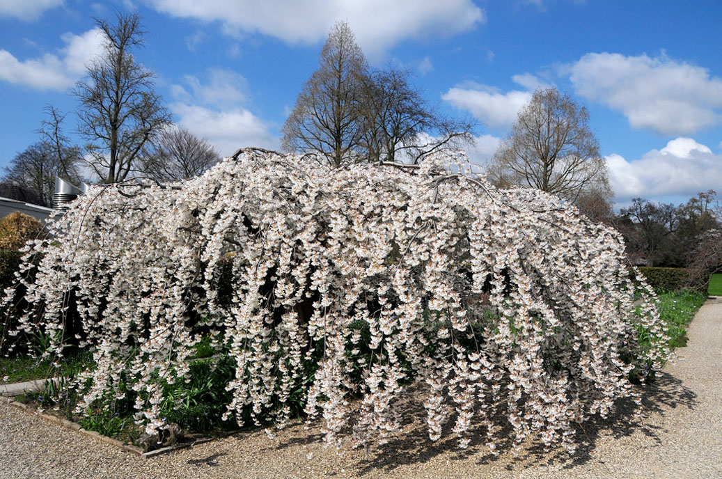 Berggarten-Mahramzadeh-4422