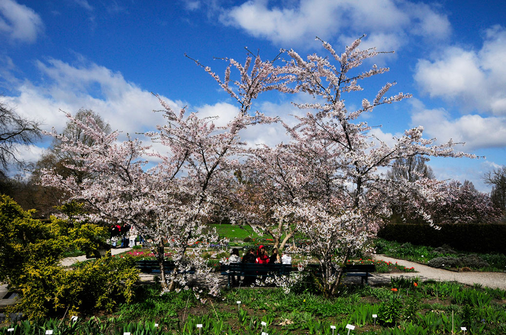 Berggarten-Mahramzadeh-4454