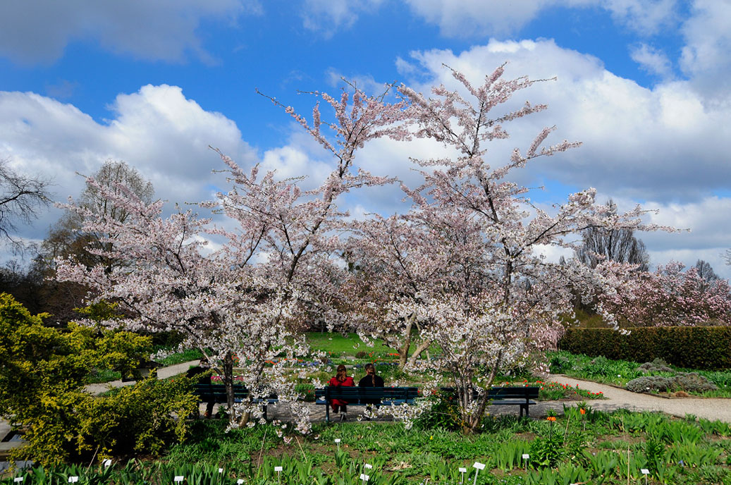 Berggarten-Mahramzadeh-4511