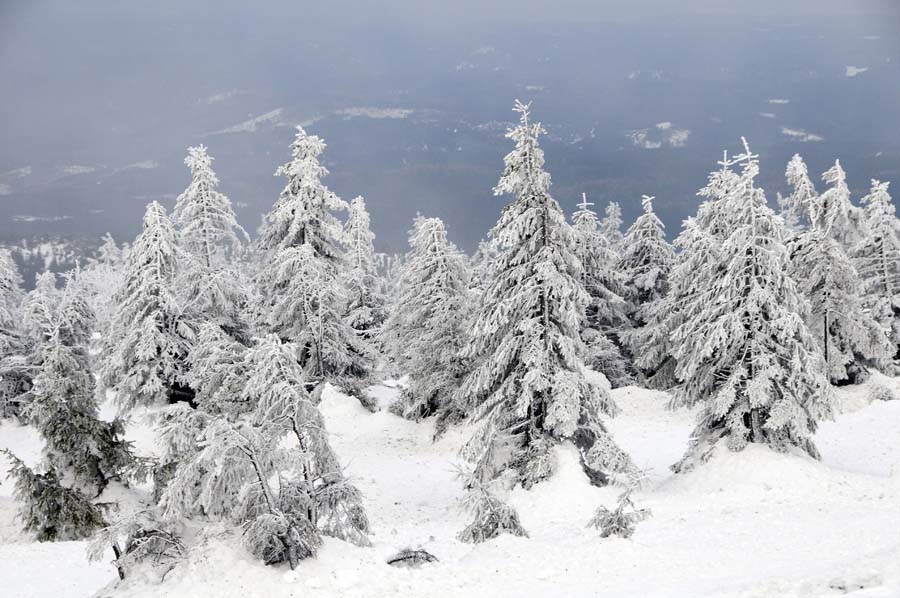 Mahramzadeh-Brocken-20100227-1565