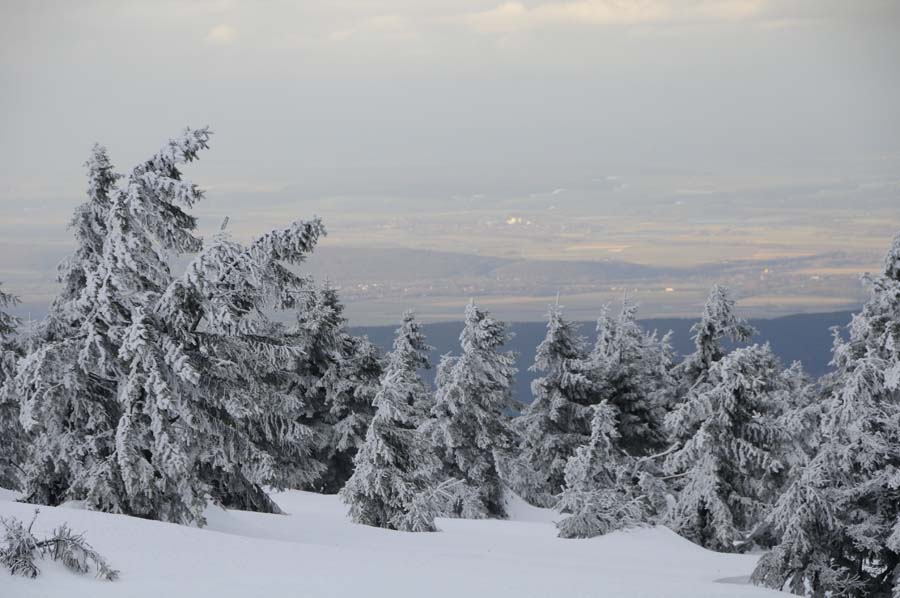 Mahramzadeh-Brocken-20100227-1569