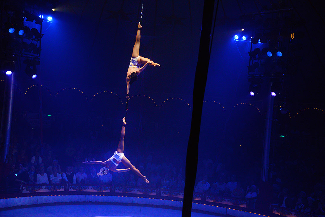 Roncalli-129670-120830-cMahramzadeh