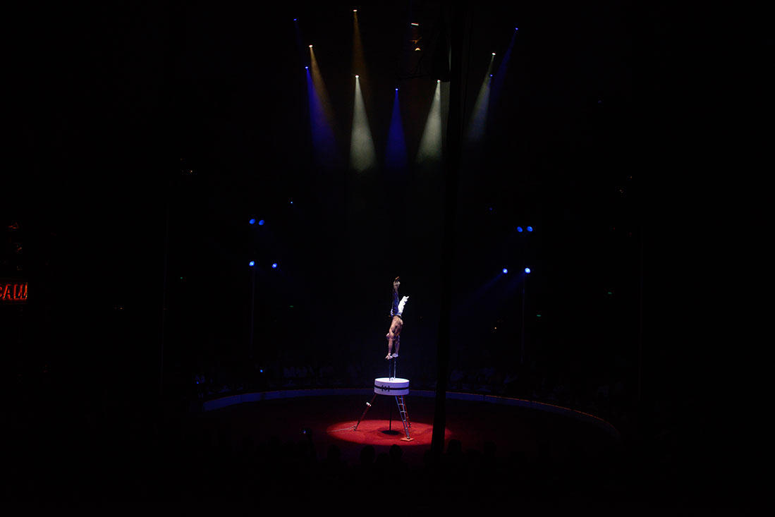 Roncalli-131945-120830-cMahramzadeh