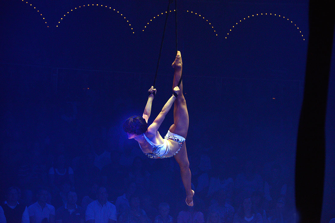 Roncalli-129620-120830-cMahramzadeh